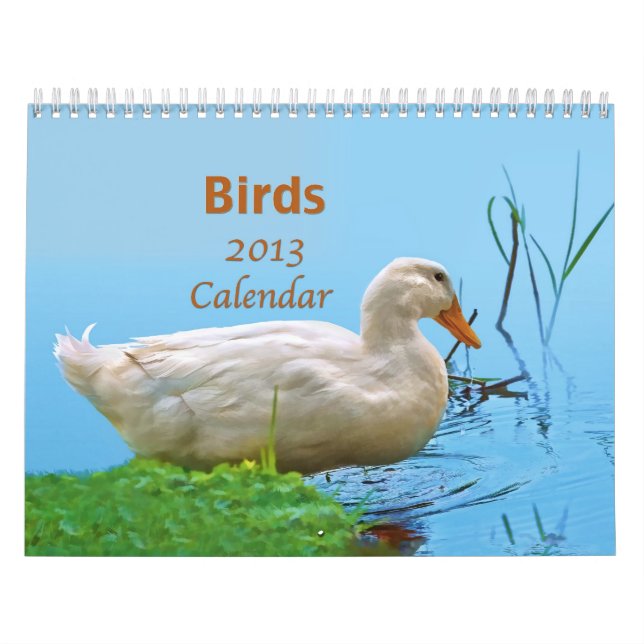 Calendrier des oiseaux 2013 (Protection)