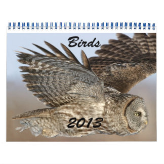 Calendrier des oiseaux 2013