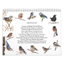 Calendrier des oiseaux 2024