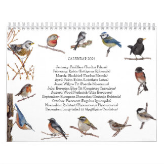 Calendrier des oiseaux 2024