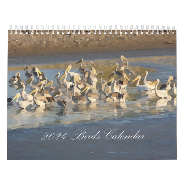Calendrier des oiseaux 2024 en aquarelle (Protection)