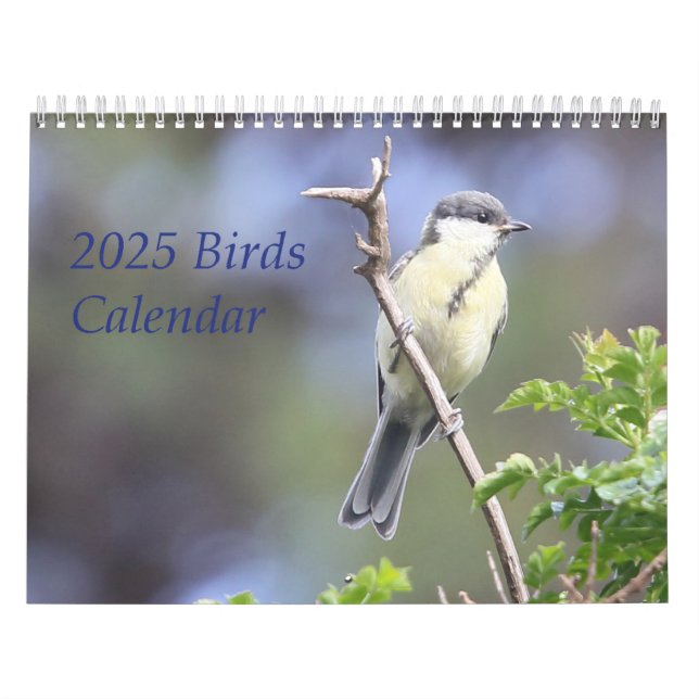 Calendrier des oiseaux 2025 (Protection)