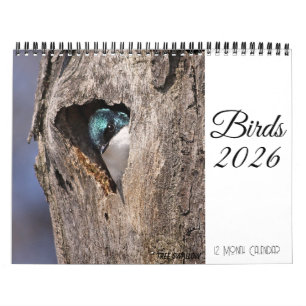 Calendrier des oiseaux 2026