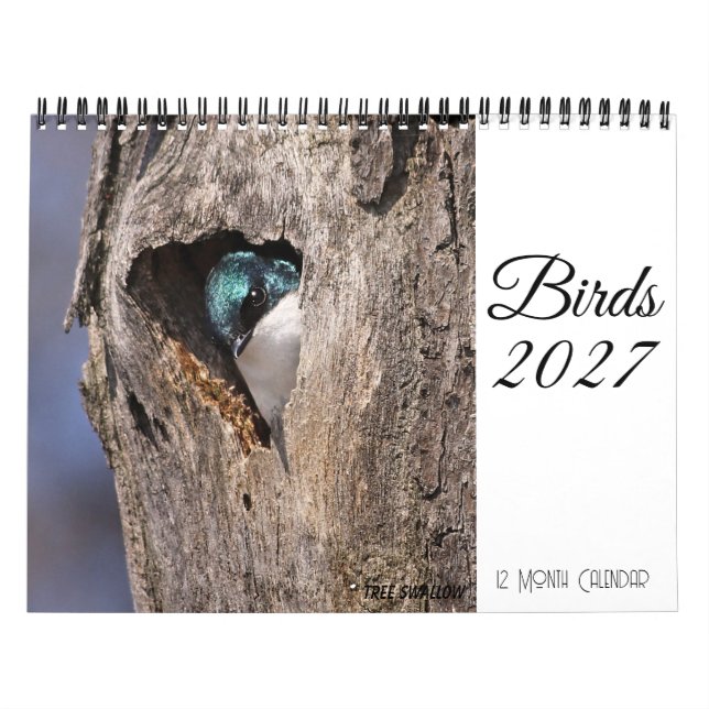 Calendrier des oiseaux 2027 (Protection)