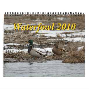 Calendrier des oiseaux aquatiques 2010