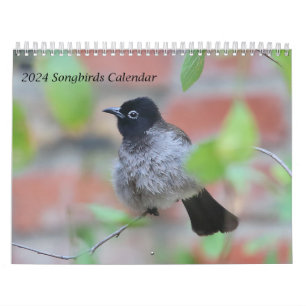 Calendrier des oiseaux chanteurs 2024