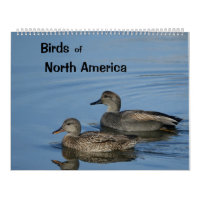 Calendrier des oiseaux d'Amérique du Nord