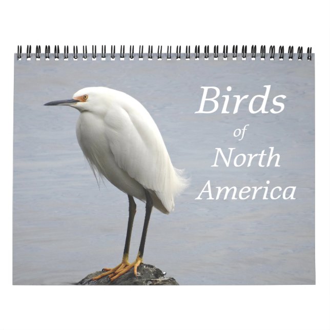Calendrier des oiseaux d'Amérique du Nord (Protection)