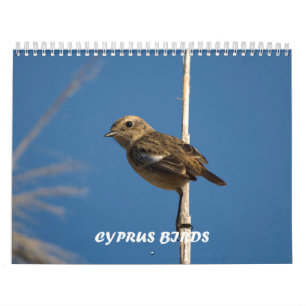 Calendrier des oiseaux de Chypre