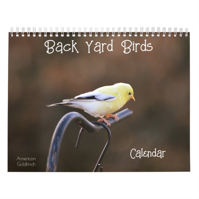 Calendrier des oiseaux de cour arrière (Protection)
