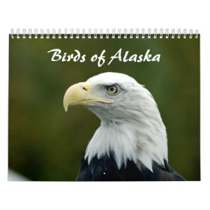 Calendrier des oiseaux de l'Alaska