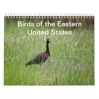 Calendrier des oiseaux de l'Est des États-Unis