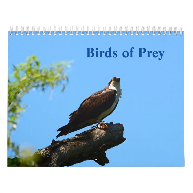 Calendrier des oiseaux de proie (Protection)