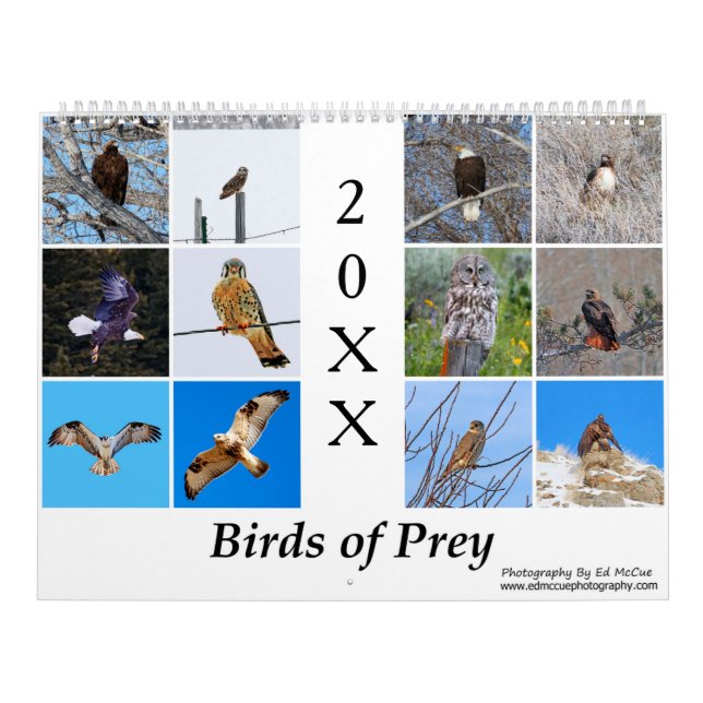 Calendrier des oiseaux de proie (Protection)