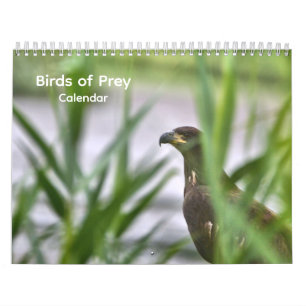 Calendrier des oiseaux de proie