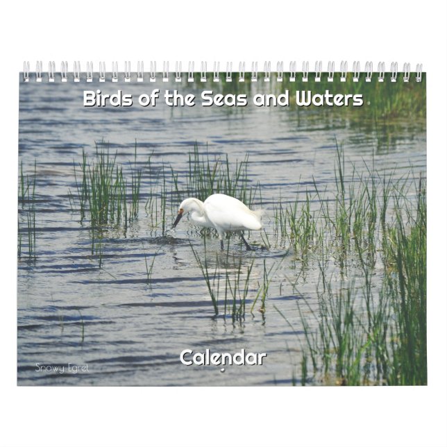 Calendrier des oiseaux des mers et des eaux (Protection)