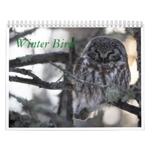 Calendrier des oiseaux d'hiver