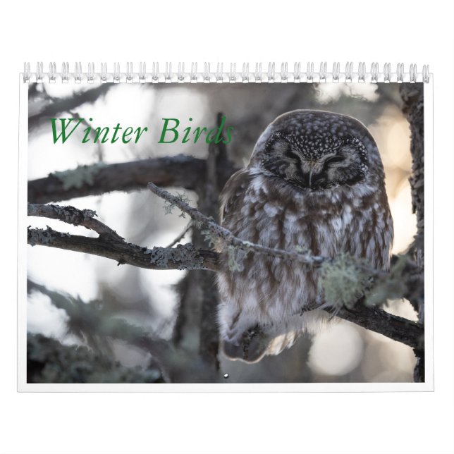 Calendrier des oiseaux d'hiver (Protection)