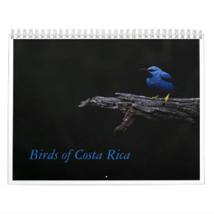 Calendrier des oiseaux du Costa Rica