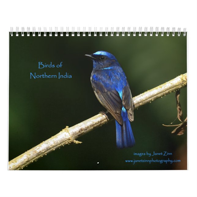 Calendrier des oiseaux du nord de l'Inde (Protection)