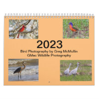 Calendrier des oiseaux du Texas 2023