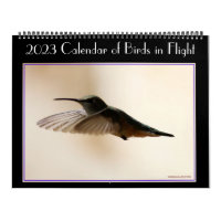 Calendrier des oiseaux en vol 2020