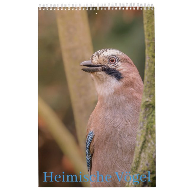 Calendrier des oiseaux indigènes (Protection)