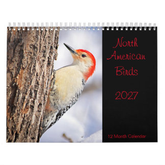Calendrier des oiseaux nord-américains 2027