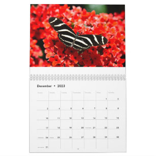 Calendrier des oiseaux, papillons et fleurs