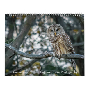 Calendrier des oiseaux Photographie du lac Hallowe