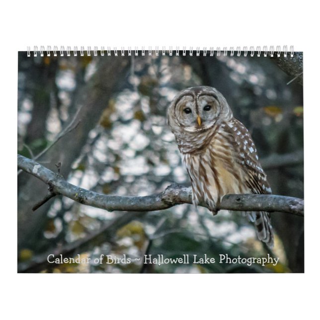 Calendrier des oiseaux Photographie du lac Hallowe (Protection)