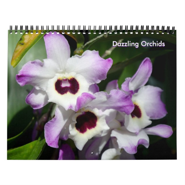 Calendrier des orchidées (Protection)