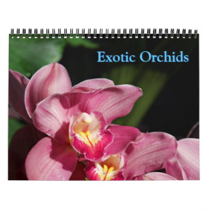Calendrier des orchidées