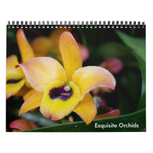 Calendrier des orchidées exquis