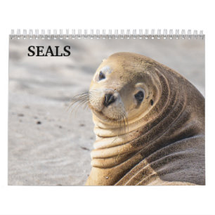 Calendrier des Otaries 2026