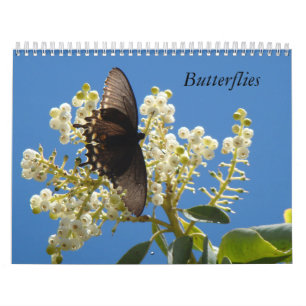 Calendrier des papillons
