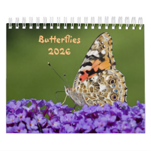 Calendrier des papillons