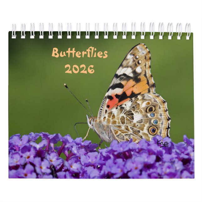 Calendrier des papillons (Protection)