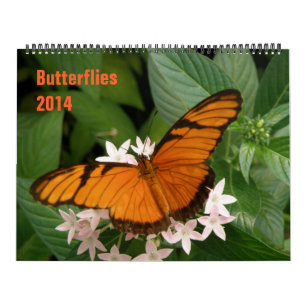 Calendrier des papillons 2014