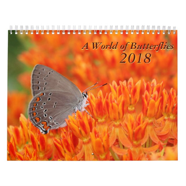 Calendrier des papillons 2018 (Protection)