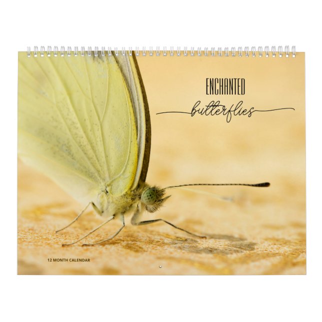 Calendrier des papillons enchantés (Protection)