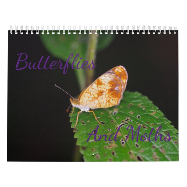 Calendrier des papillons et des papillons (Protection)