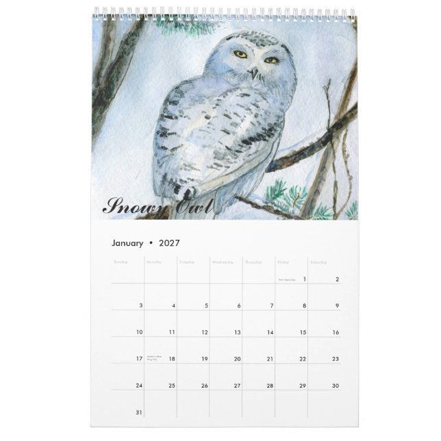 Calendrier des peintures des chouettes aquarelles  (Jan 2027)