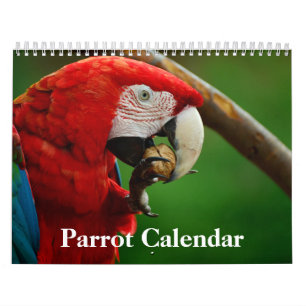 Calendrier des perroquets 2020