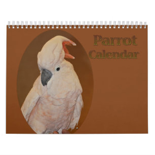Calendrier des perroquets colorés