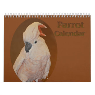 Calendrier des perroquets colorés