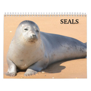 Calendrier des phoques à lions de mer 2025