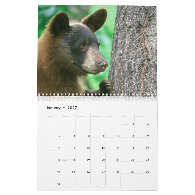 Calendrier des photos de la faune des parcs nation (Jan 2027)
