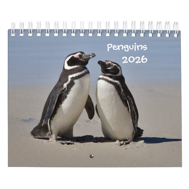 Calendrier des pingouins (Protection)
