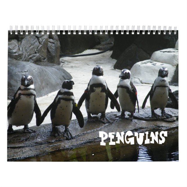 Calendrier des pingouins (Protection)